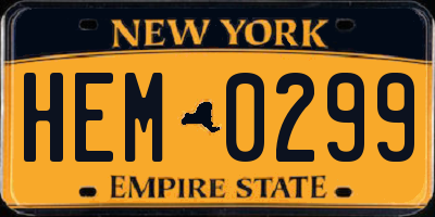 NY license plate HEM0299