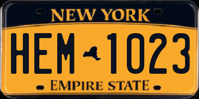 NY license plate HEM1023