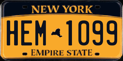 NY license plate HEM1099