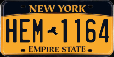 NY license plate HEM1164