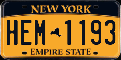 NY license plate HEM1193
