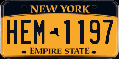 NY license plate HEM1197