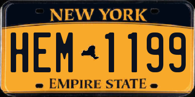 NY license plate HEM1199