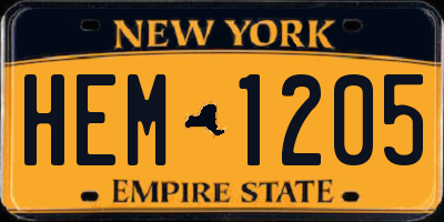 NY license plate HEM1205