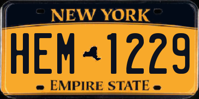 NY license plate HEM1229