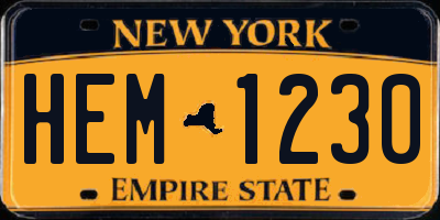 NY license plate HEM1230