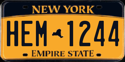 NY license plate HEM1244