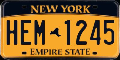 NY license plate HEM1245