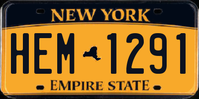 NY license plate HEM1291