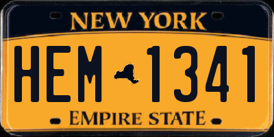 NY license plate HEM1341