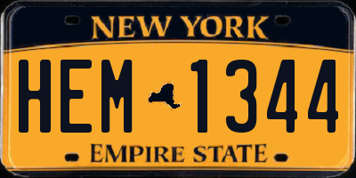 NY license plate HEM1344