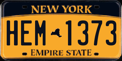 NY license plate HEM1373
