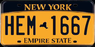 NY license plate HEM1667