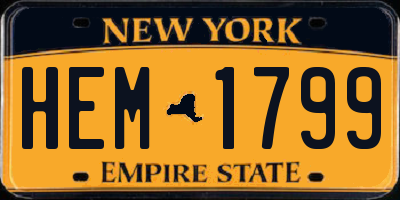 NY license plate HEM1799