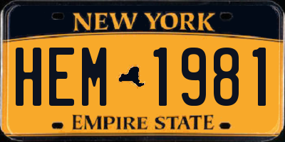 NY license plate HEM1981