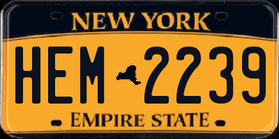 NY license plate HEM2239