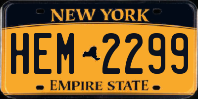 NY license plate HEM2299