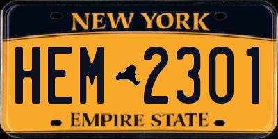NY license plate HEM2301