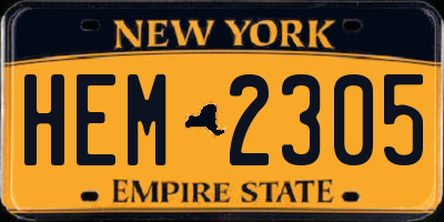 NY license plate HEM2305