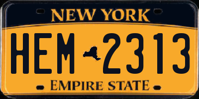 NY license plate HEM2313