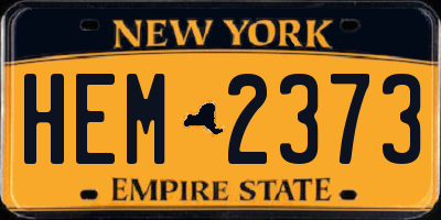 NY license plate HEM2373