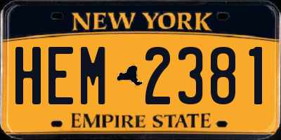 NY license plate HEM2381