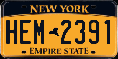 NY license plate HEM2391