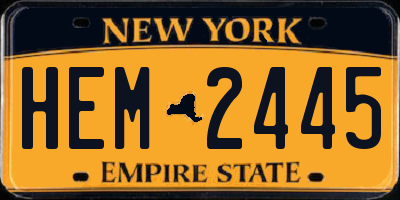 NY license plate HEM2445