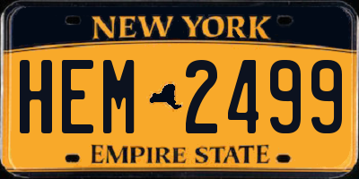 NY license plate HEM2499