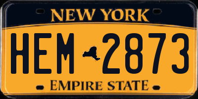 NY license plate HEM2873