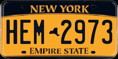 NY license plate HEM2973