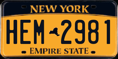 NY license plate HEM2981