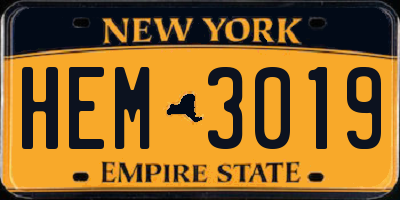 NY license plate HEM3019