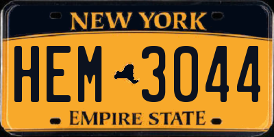 NY license plate HEM3044