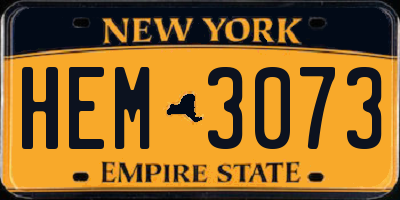 NY license plate HEM3073
