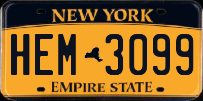 NY license plate HEM3099