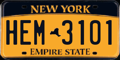 NY license plate HEM3101