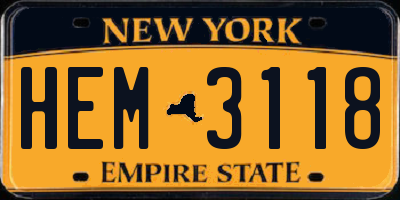 NY license plate HEM3118