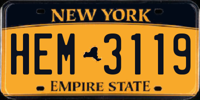 NY license plate HEM3119