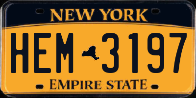 NY license plate HEM3197