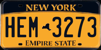 NY license plate HEM3273