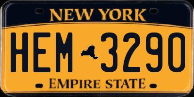 NY license plate HEM3290