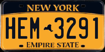 NY license plate HEM3291