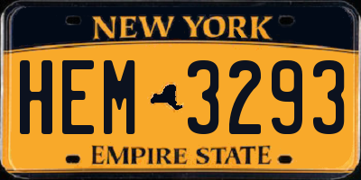 NY license plate HEM3293