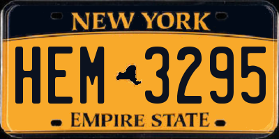 NY license plate HEM3295