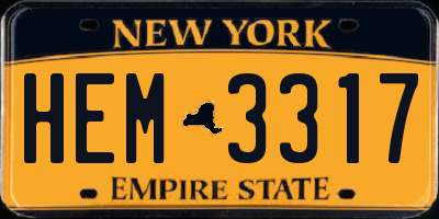 NY license plate HEM3317