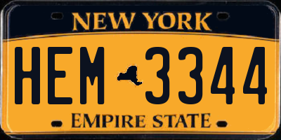 NY license plate HEM3344