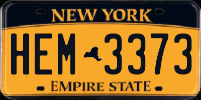 NY license plate HEM3373