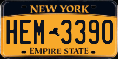 NY license plate HEM3390