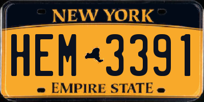 NY license plate HEM3391